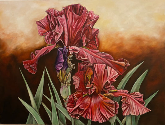 Crimson Elegance: Irises in Bloom #019