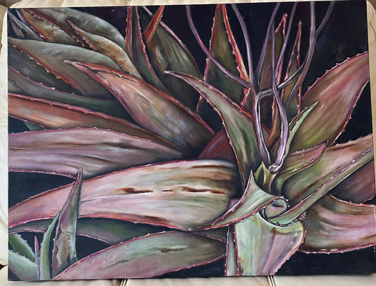 African aloe #016